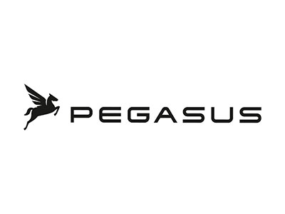 pegasus